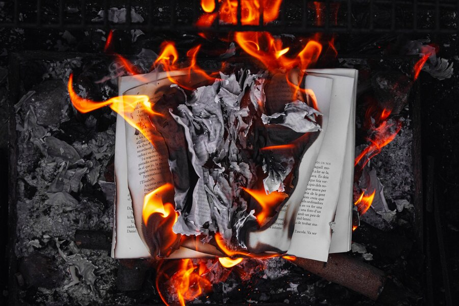 libro bruciato come nella terribile notte della Germania nazista